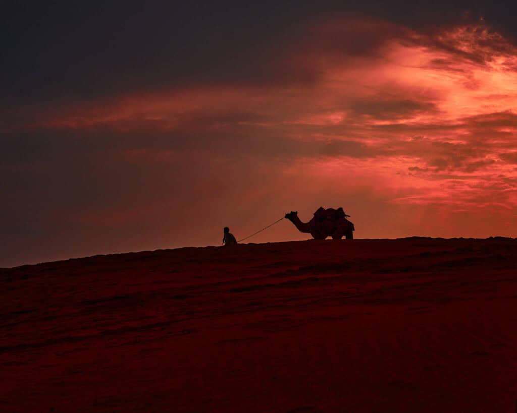 Silhouette of a camel on the sand dunes of Sam, Rajasthan, under a warm sunset sky.
